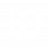 Boyes group logo